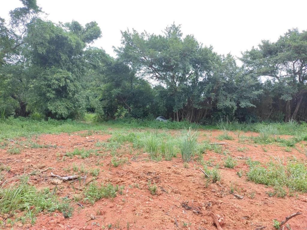 【向陽團隊】過嶺善果林便宜農地