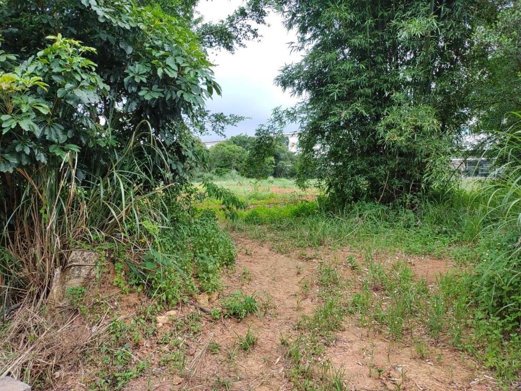 【向陽團隊】過嶺善果林便宜農地