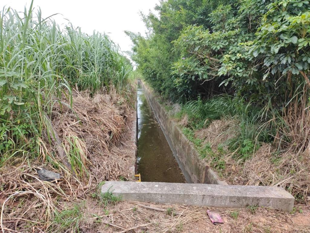 【向陽團隊】過嶺善果林便宜農地