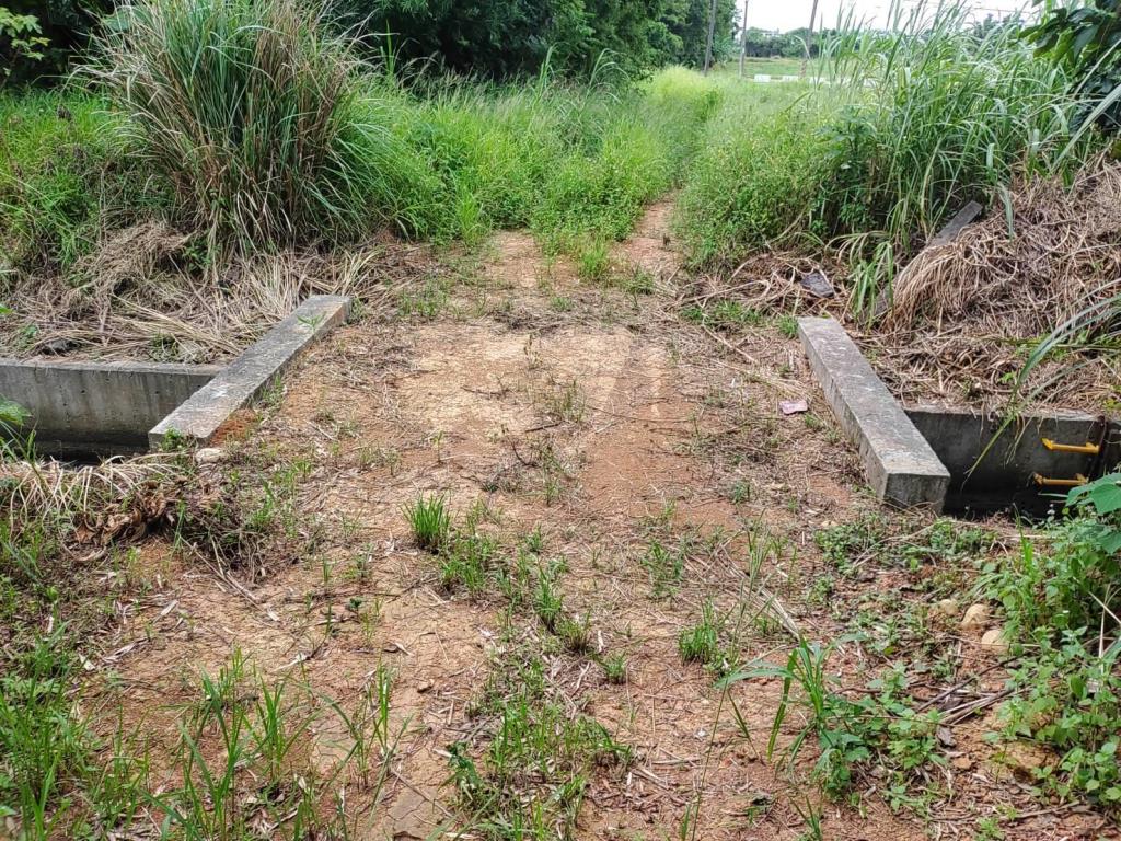 【向陽團隊】過嶺善果林便宜農地