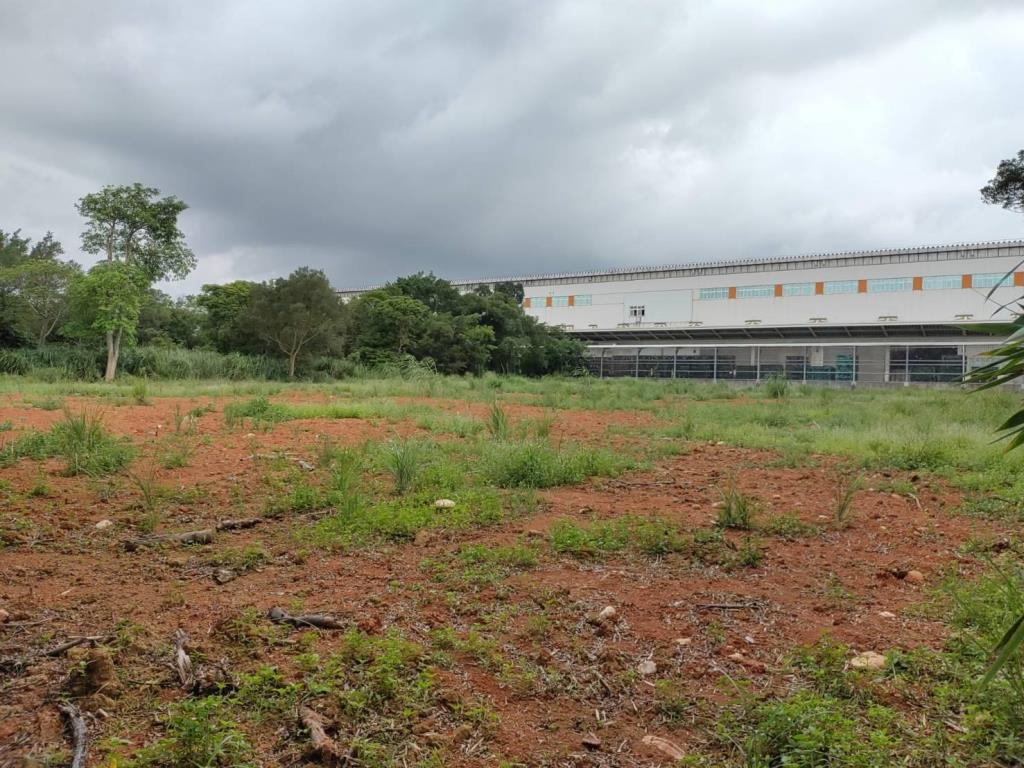 【向陽團隊】過嶺善果林便宜農地