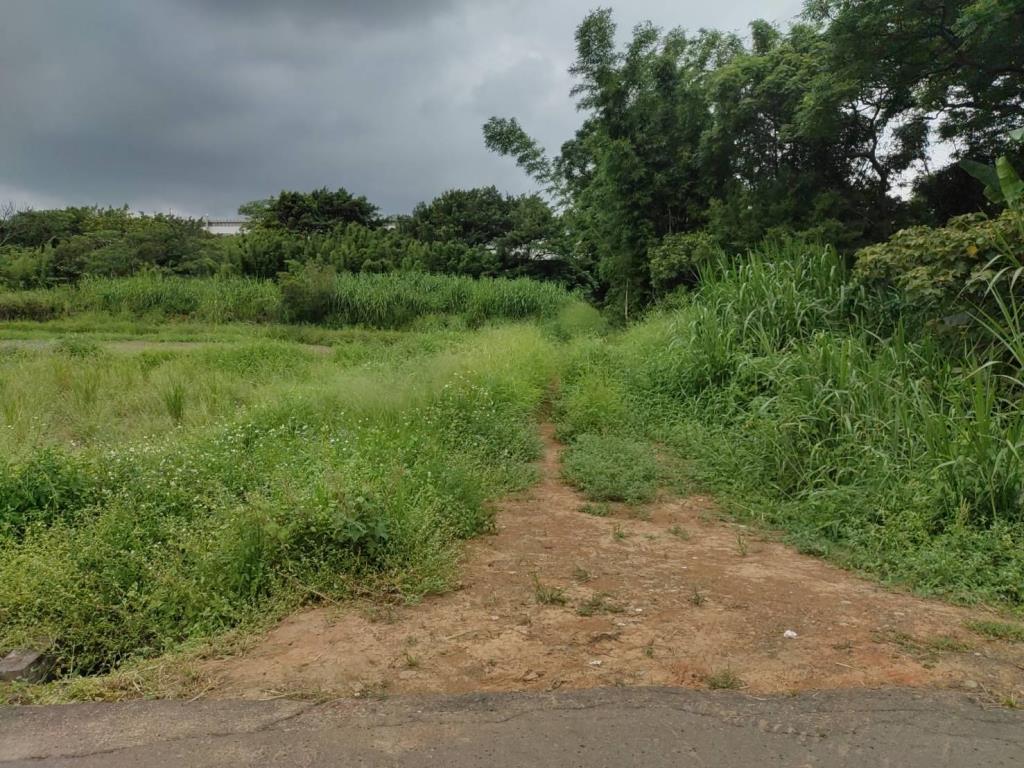 【向陽團隊】過嶺善果林便宜農地