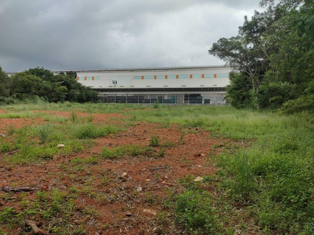 【向陽團隊】過嶺善果林便宜農地