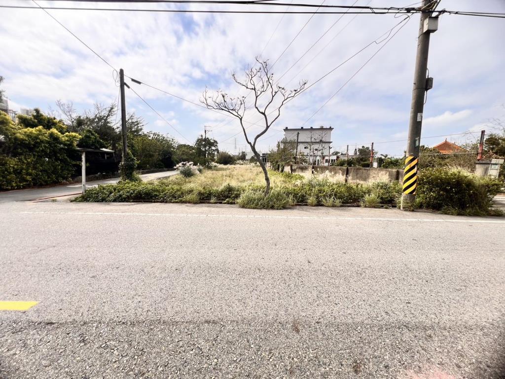 【向陽團隊】觀音上大10米路角地美農地