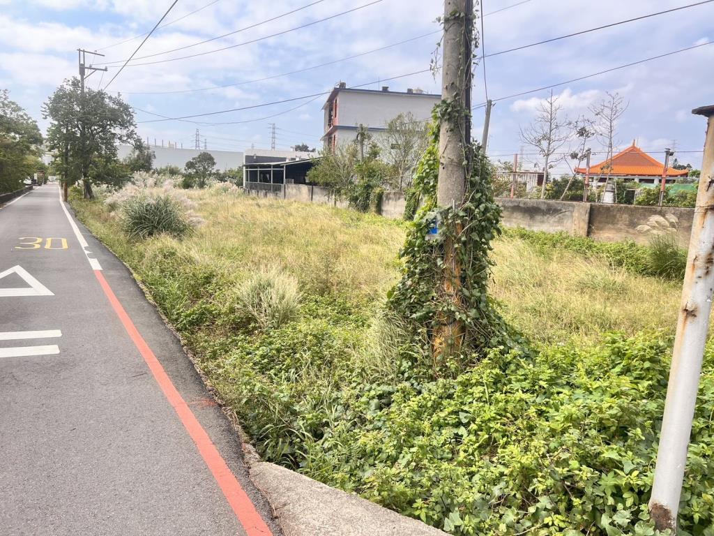 【向陽團隊】觀音上大10米路角地美農地