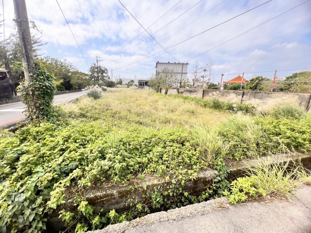 【向陽團隊】觀音上大10米路角地美農地