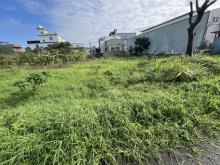 【向陽團隊】中壢福祥路農地