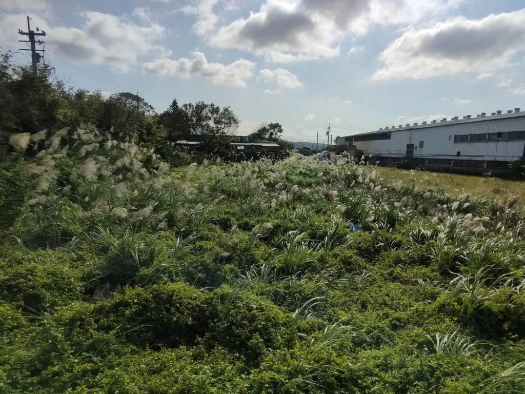 【向陽團隊】楊湖路上湖國小合法新整農舍