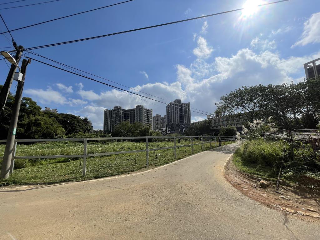 【向陽團隊】平鎮區南平路農地