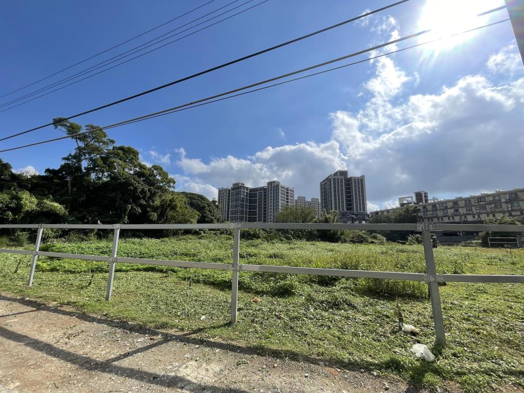 【向陽團隊】平鎮區南平路農地