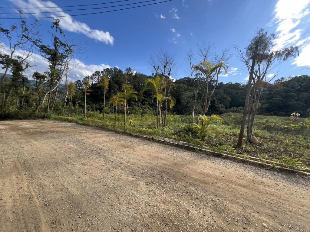 【向陽團隊】橫山優美小農地
