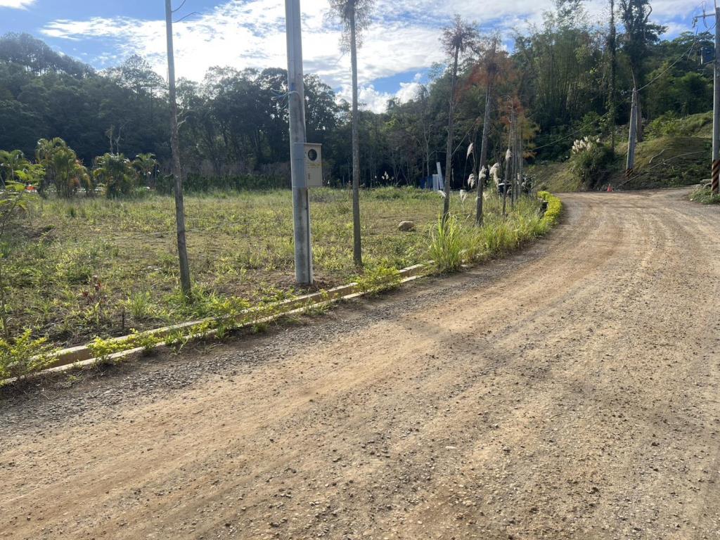 【向陽團隊】橫山優美小農地
