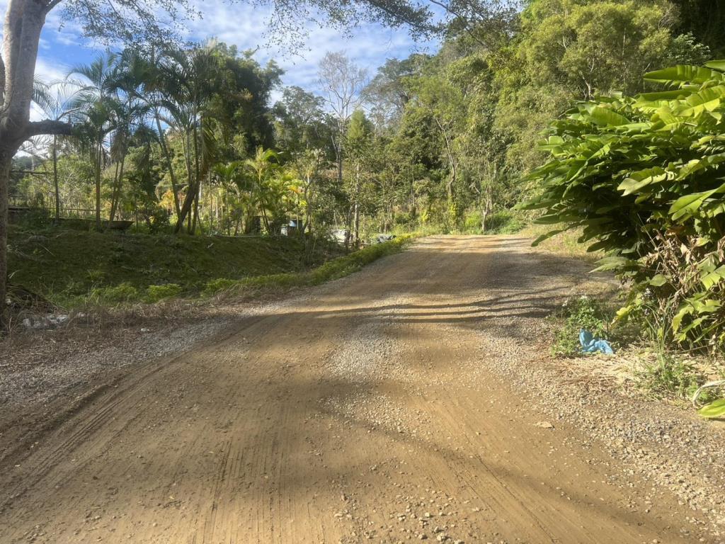 【向陽團隊】橫山優美小農地