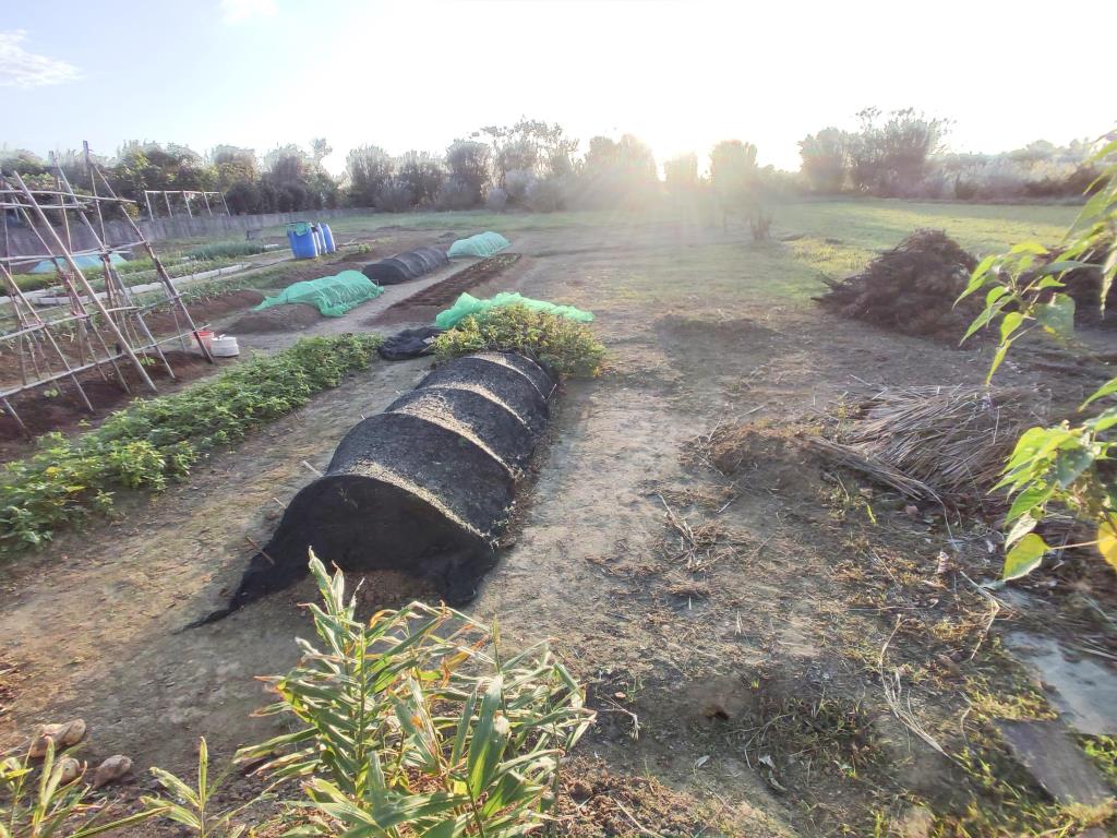 【向陽團隊】崙坪嘉富路合法庭園農舍