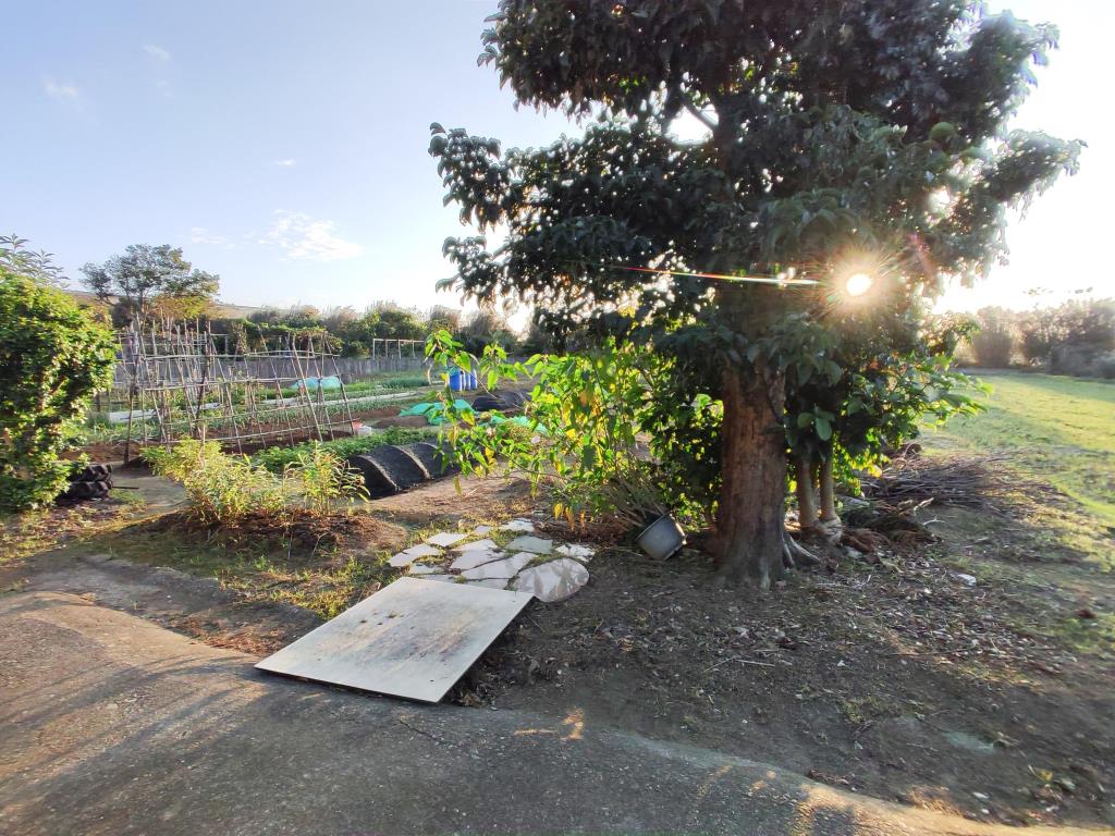 【向陽團隊】崙坪嘉富路合法庭園農舍