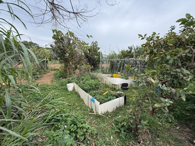 【向陽團隊】臨路12米龍安都內農地