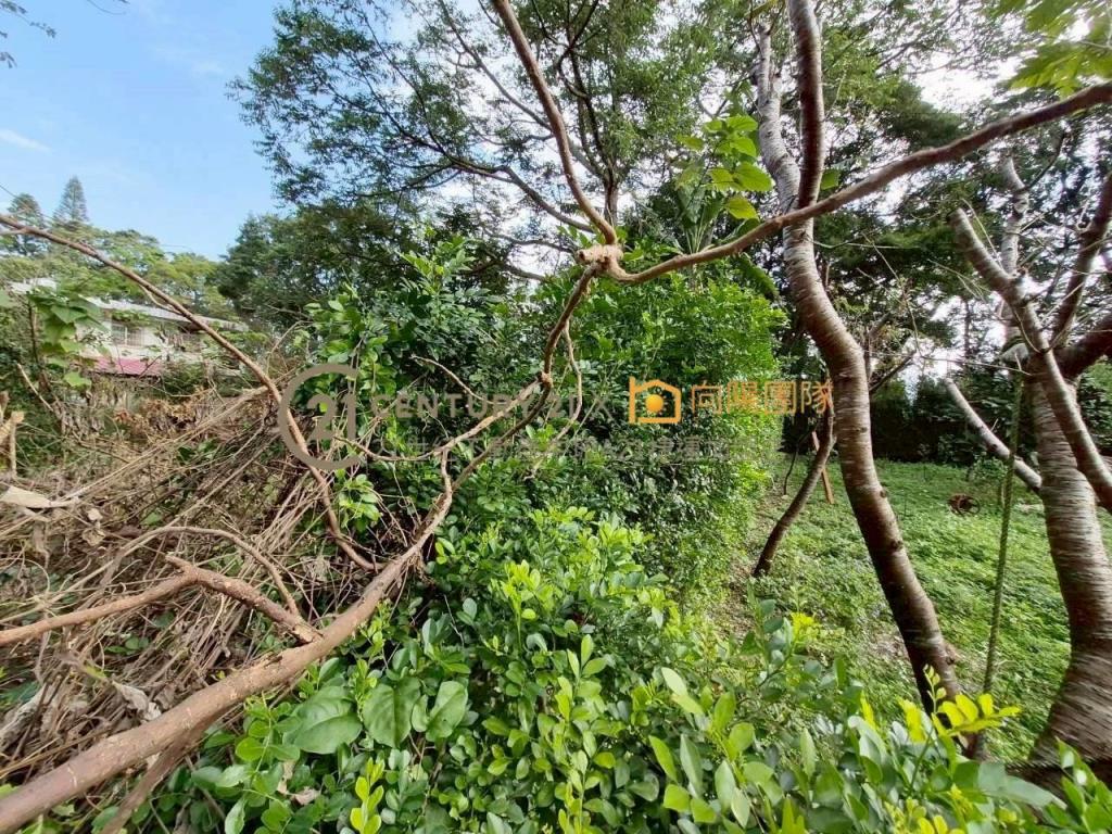 【向陽團隊】專任~石管局一般農