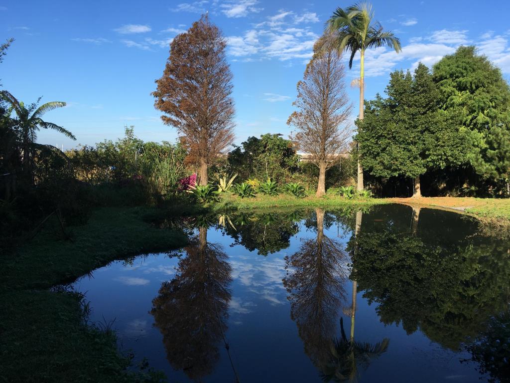 【向陽團隊】專任-楊湖路農舍+鐵皮