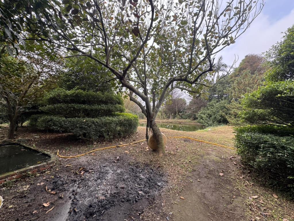 【向陽團隊】專任-楊湖路農舍+鐵皮