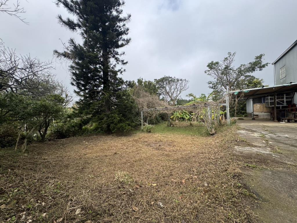 【向陽團隊】專任-楊湖路農舍+鐵皮