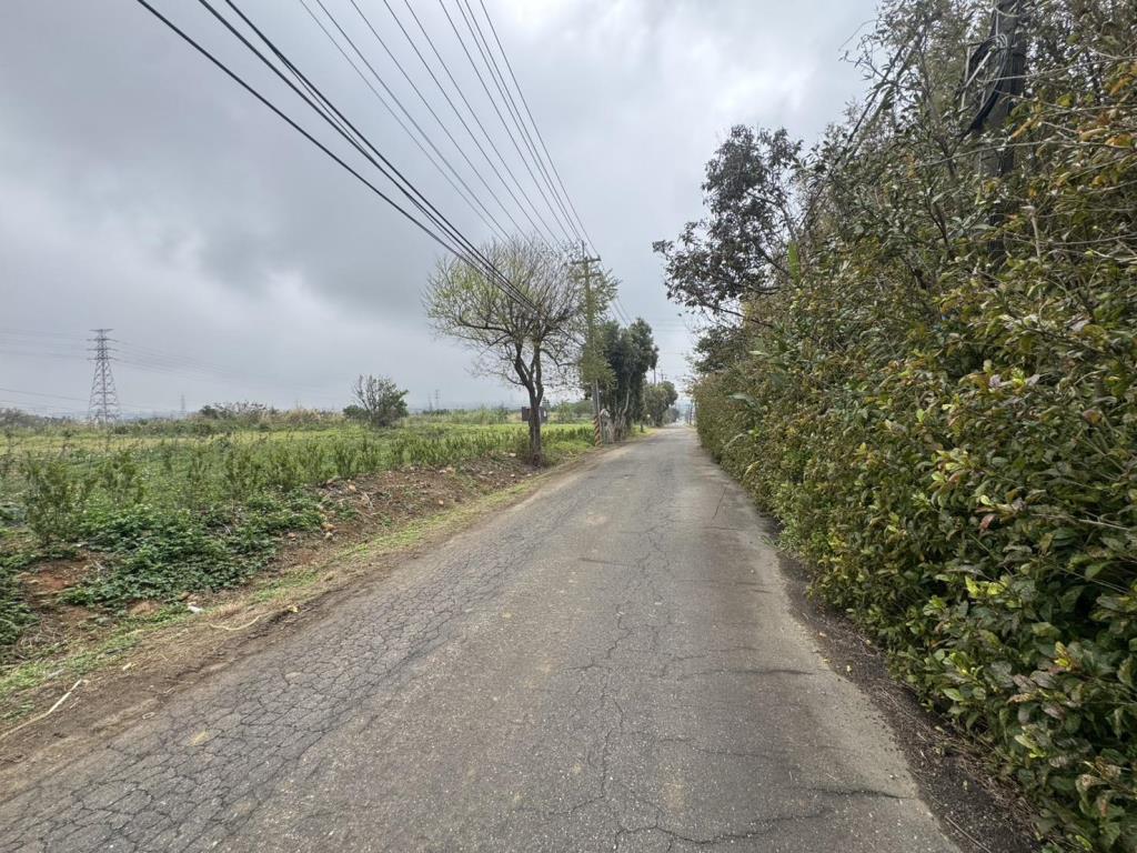 【向陽團隊】專任-楊湖路農舍+鐵皮