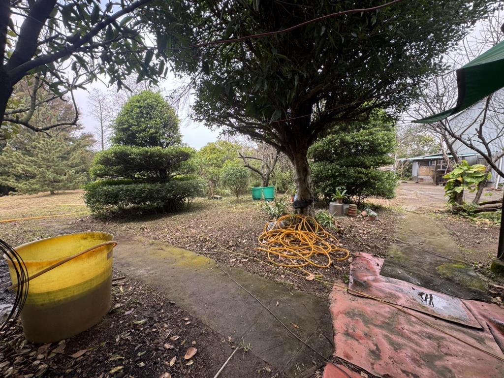 【向陽團隊】專任-楊湖路農舍+鐵皮