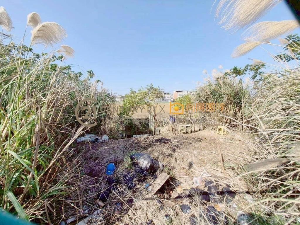 【向陽團隊】華勛國小都內農