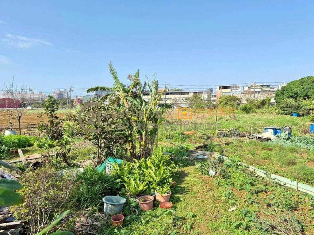 【向陽團隊】華勛國小都內農