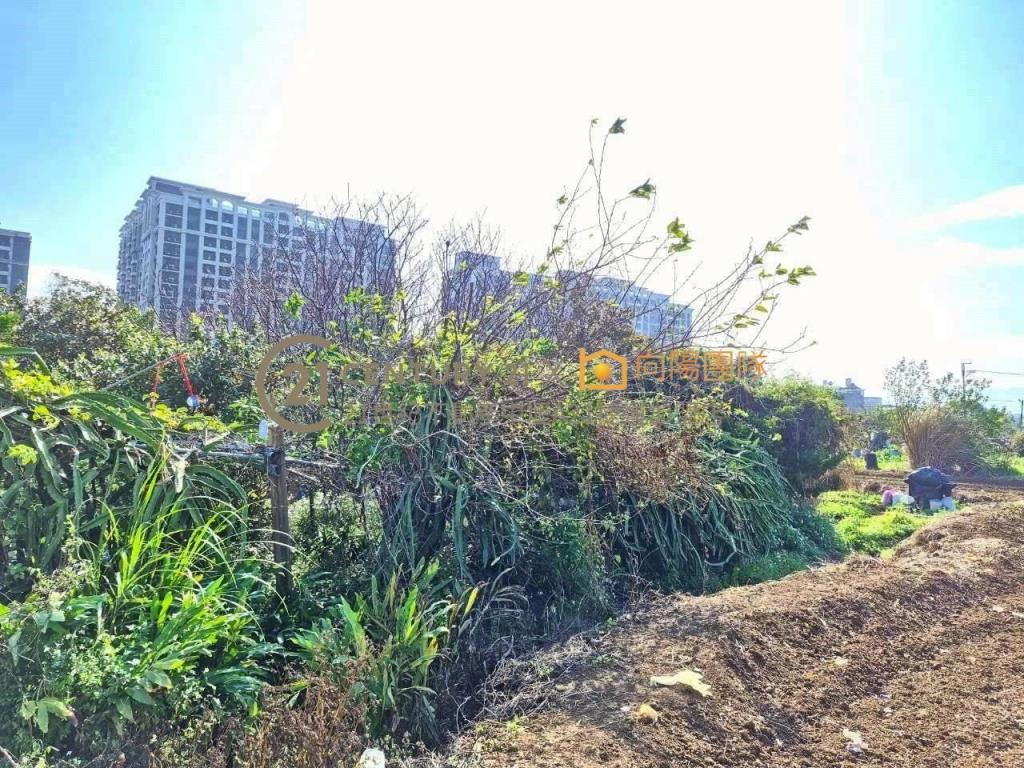 【向陽團隊】近華勛商區都內農