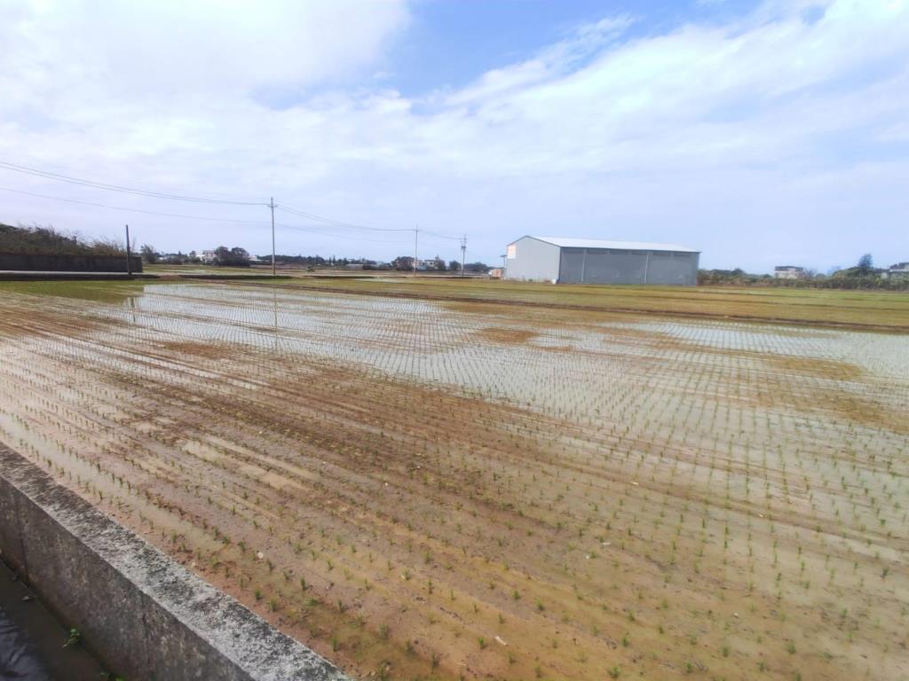 【向陽團隊】專任新屋農改場5米路農地 