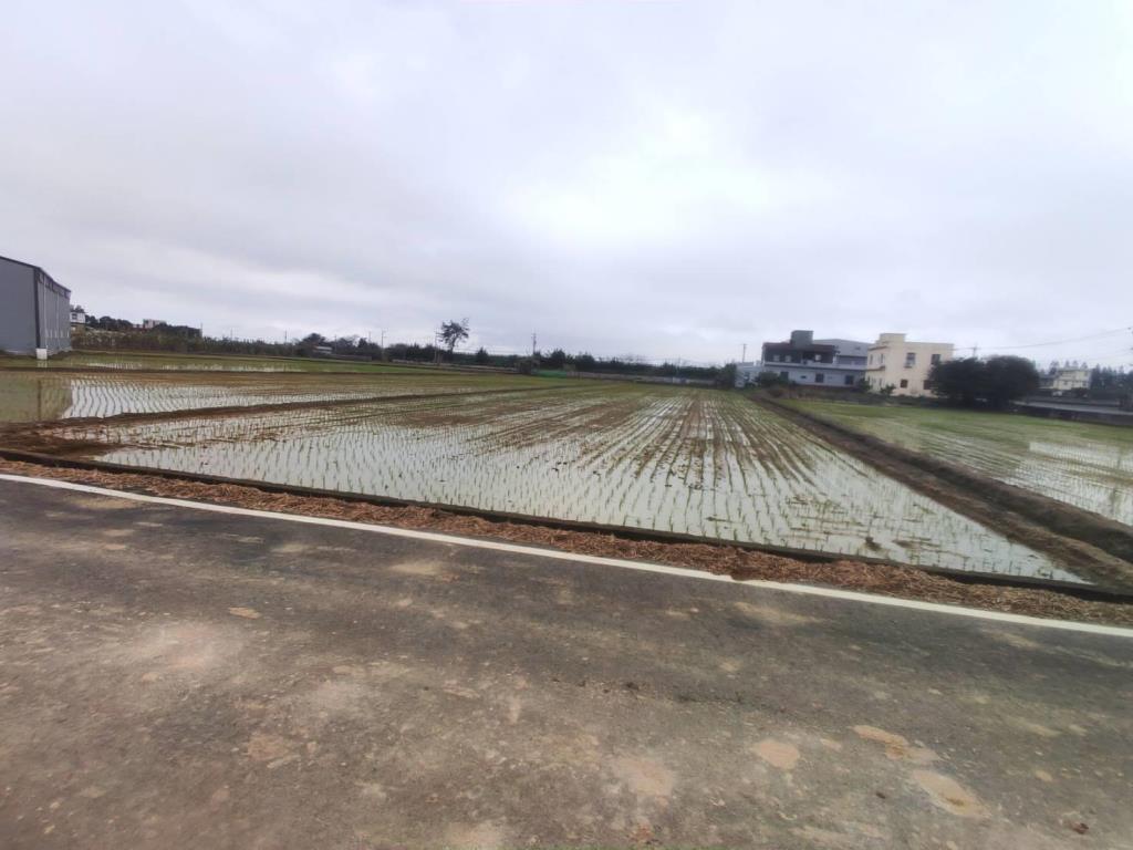 【向陽團隊】專任新屋農改場5米路農地 