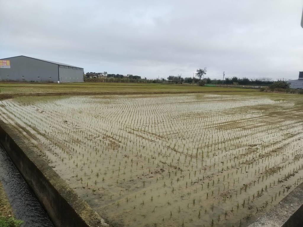 【向陽團隊】專任新屋農改場5米路農地 