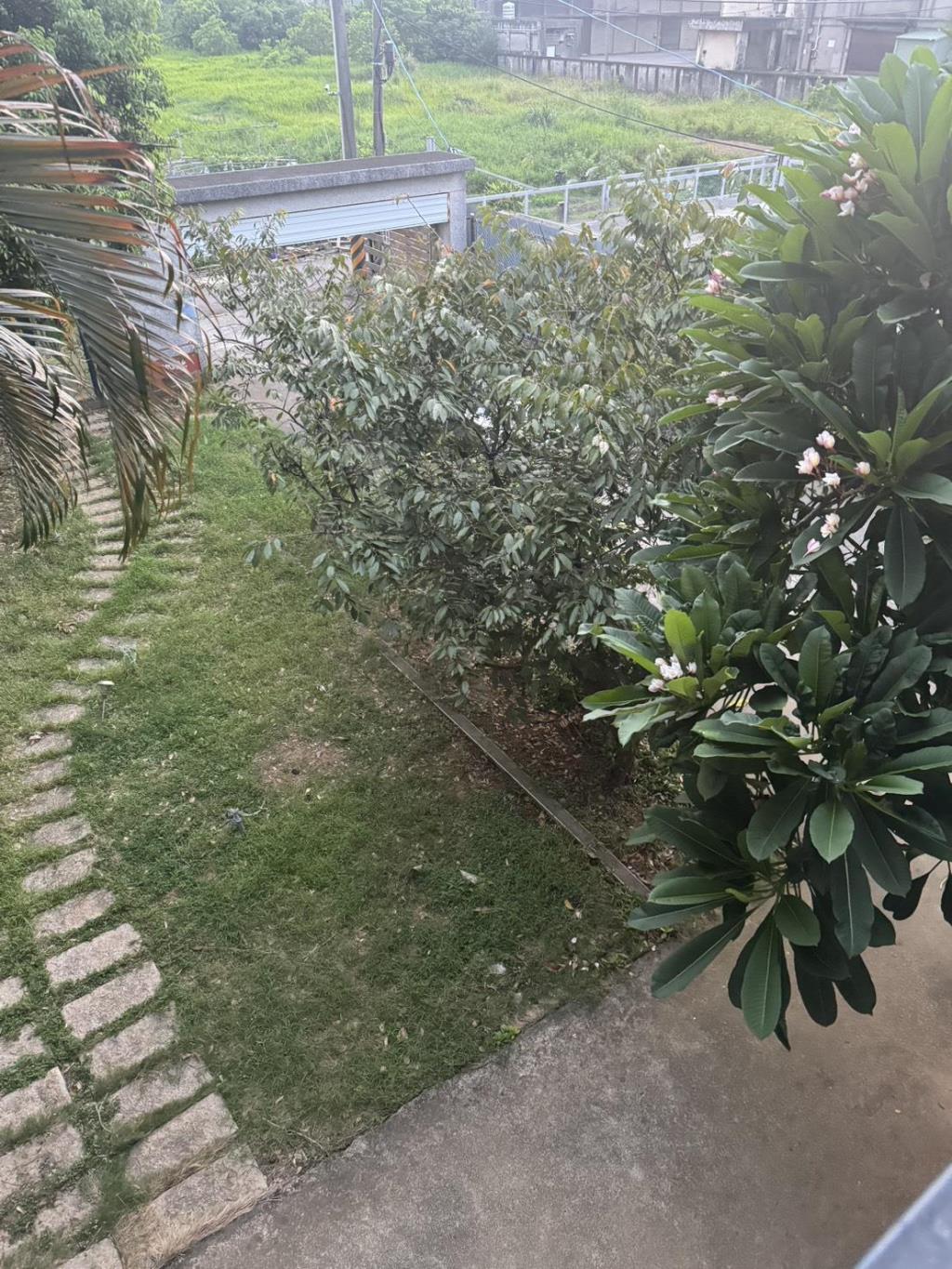 【向陽團隊】青埔湖畔美農舍