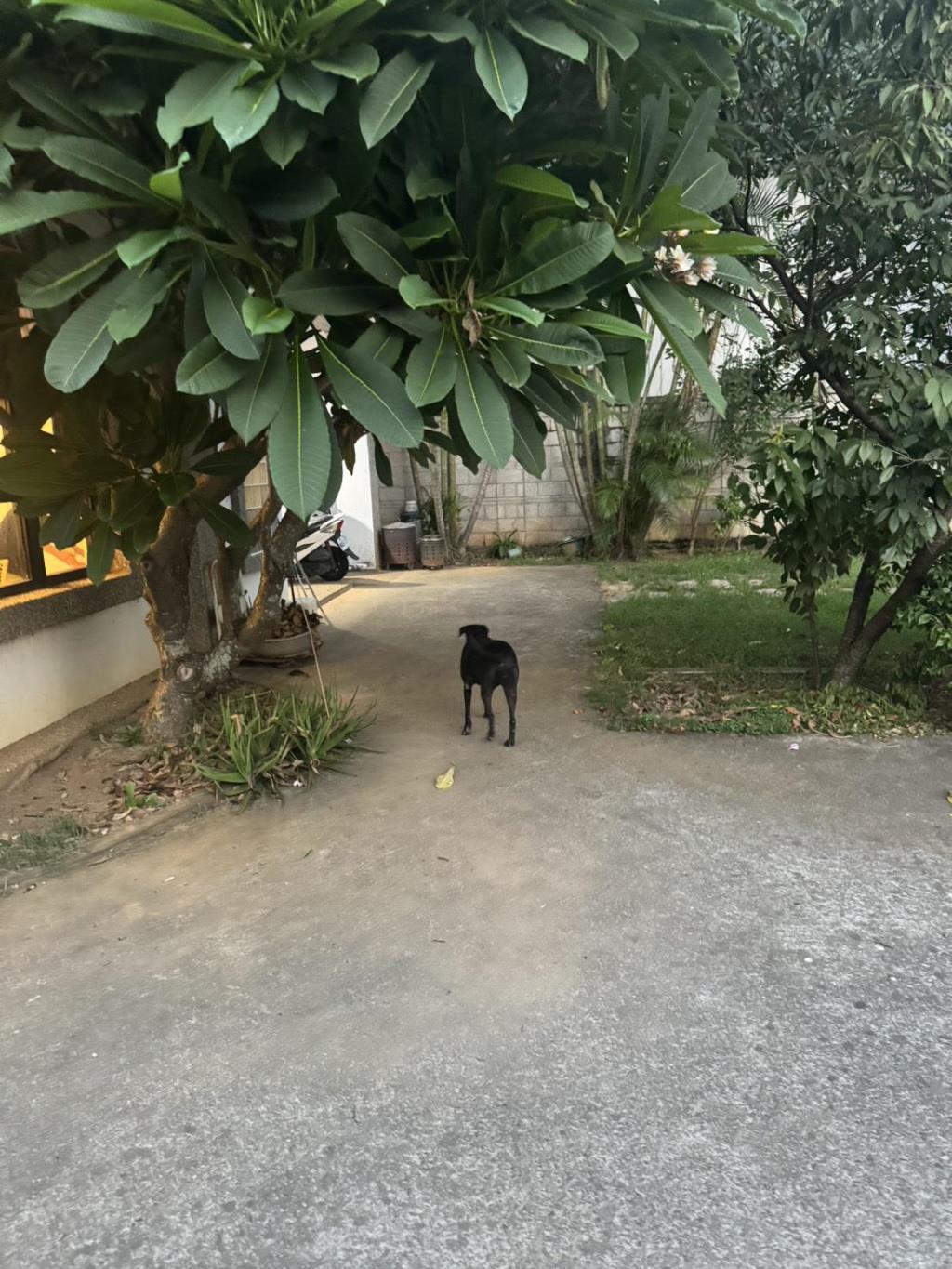 【向陽團隊】青埔湖畔美農舍