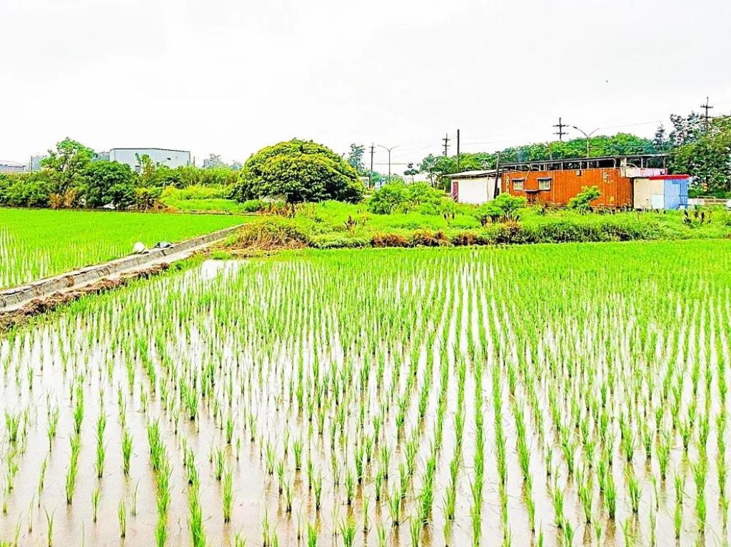【向陽團隊】觀音區40米農地+建地