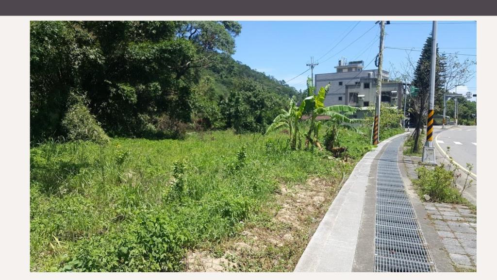 【向陽團隊】大溪區 瑞安路三角窗一般農