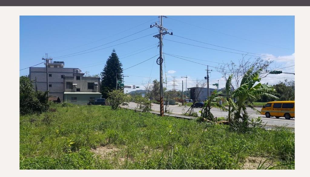 【向陽團隊】大溪區 瑞安路三角窗一般農