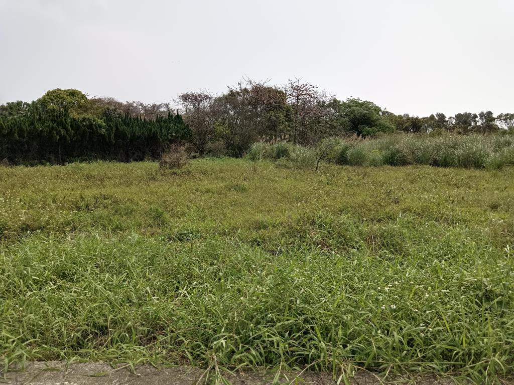 【向陽團隊】新屋石磊子活動中心美農地