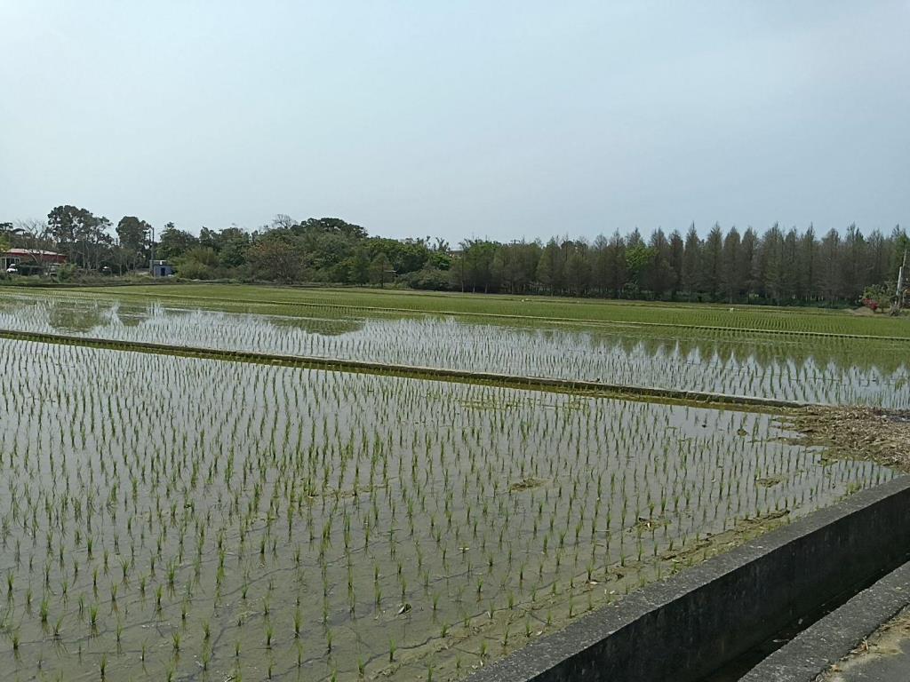 【向陽團隊】新屋石磊子活動中心美農地