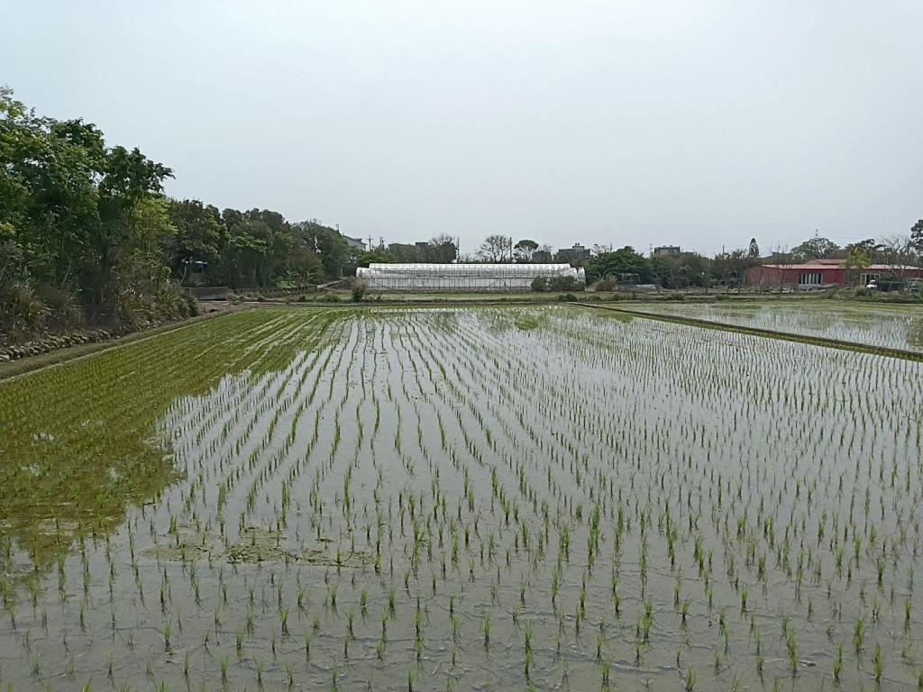 【向陽團隊】新屋石磊子活動中心美農地