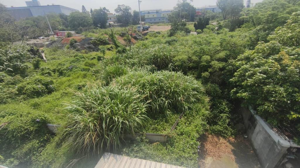 【向陽團隊】近觀音桃科二期建地(買地送屋