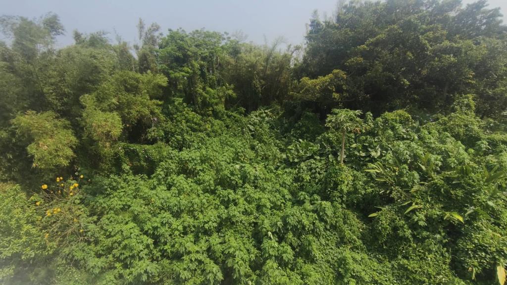 【向陽團隊】近觀音桃科二期建地(買地送屋