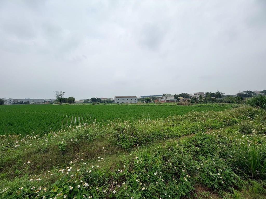 【向陽團隊】新屋中山東路美農地