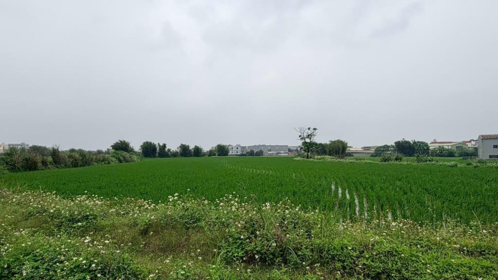 【向陽團隊】新屋中山東路美農地