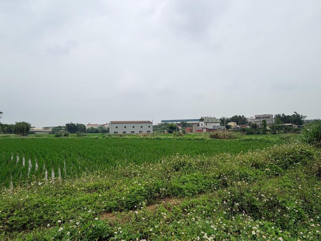 【向陽團隊】新屋中山東路美農地