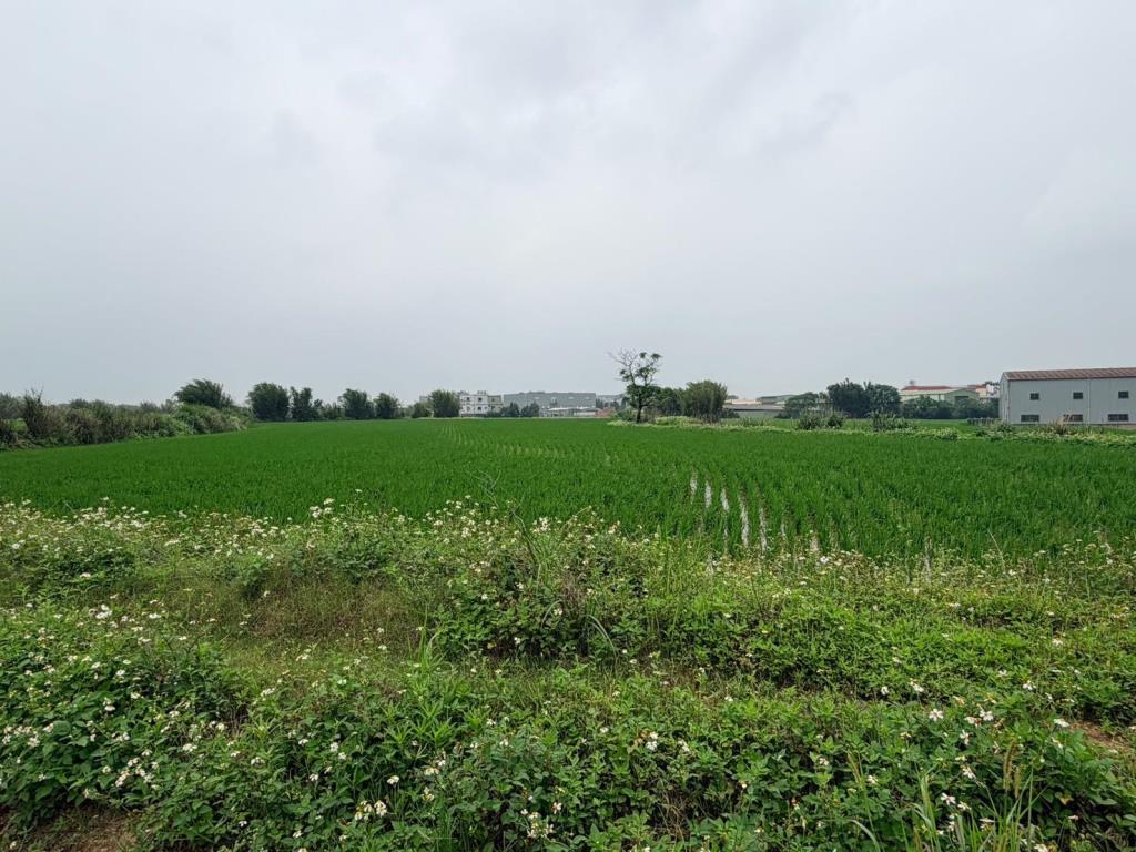 【向陽團隊】新屋中山東路美農地