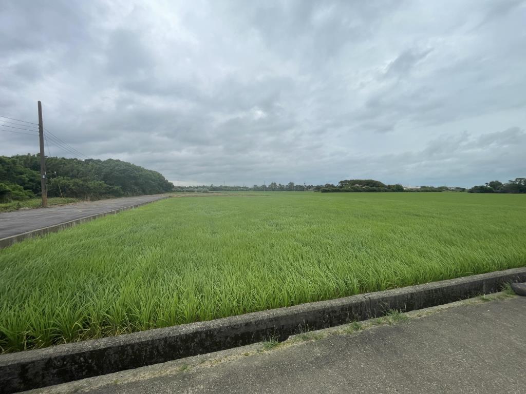 【向陽團隊】新屋近清華高中農+建地