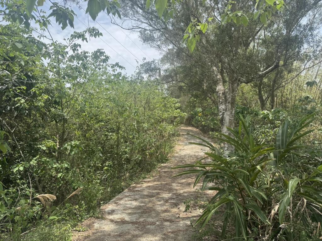 【向陽團隊】台南柳營國土保安用地