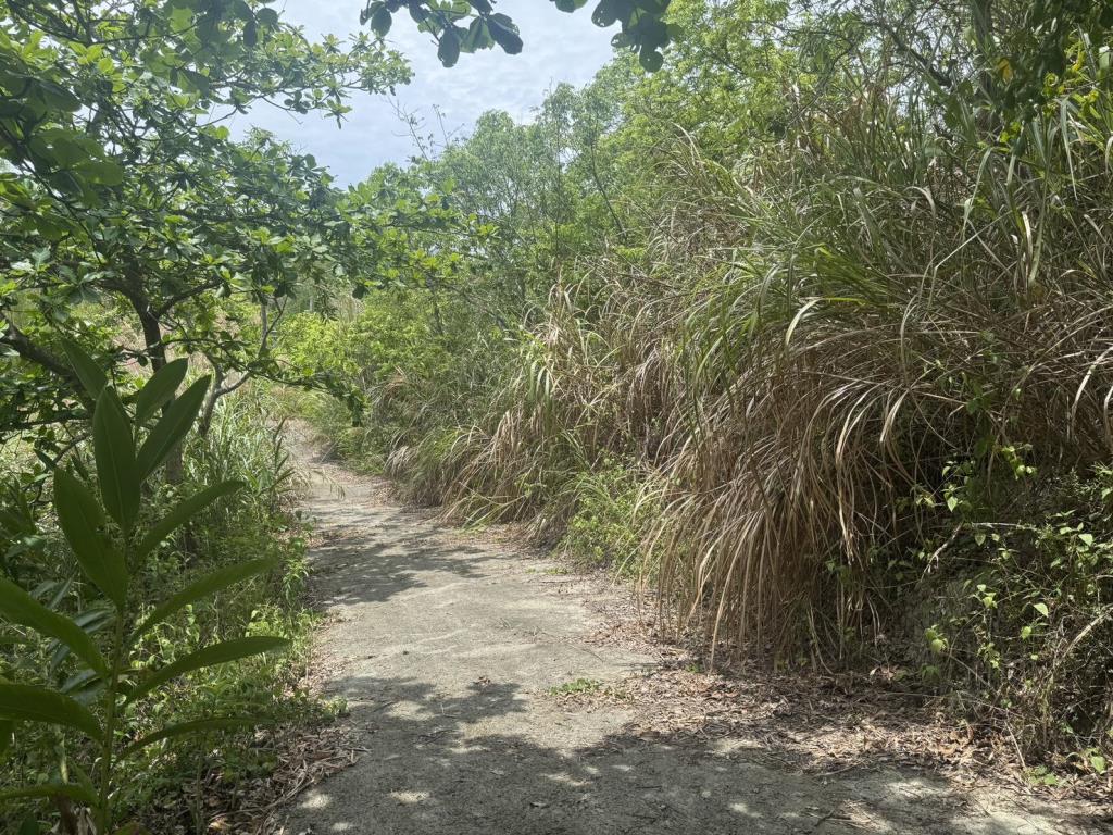 【向陽團隊】台南柳營國土保安用地