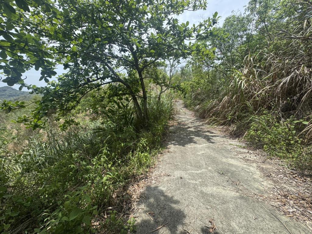 【向陽團隊】台南柳營國土保安用地